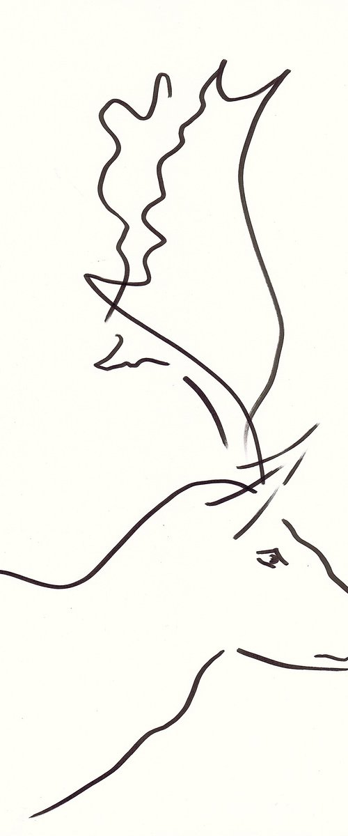Deer by David Jones