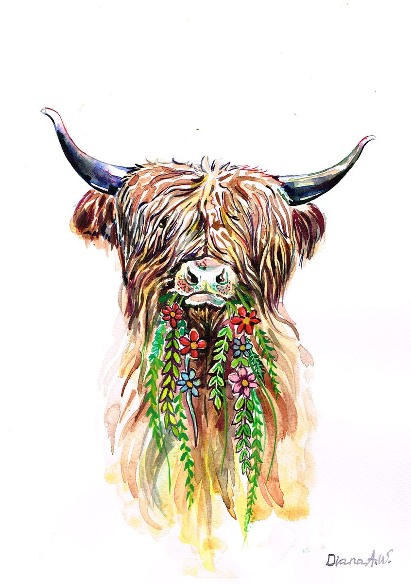 Highland Moo Cow by Diana Aleksanian