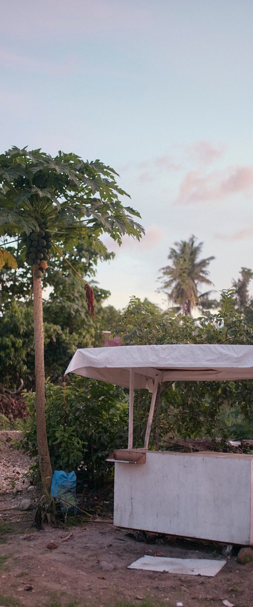 The Empty Stall by James Rogers