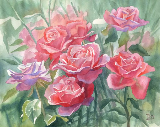 Falling in Love (2) Watercolor Roses Bloom