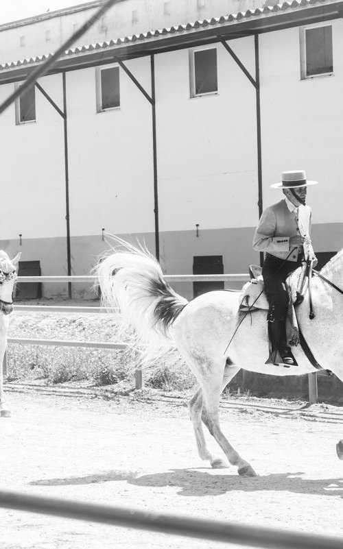 SPANISH HORSEMEN by Andrew Lever
