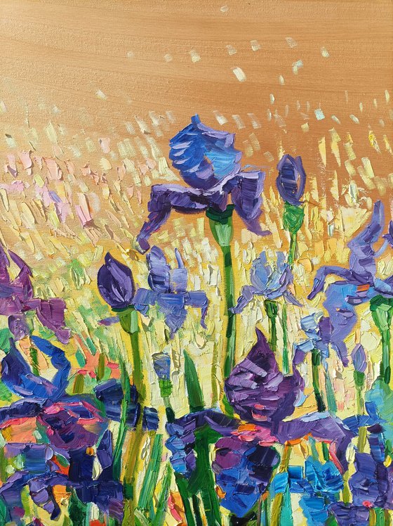 Light on the irises