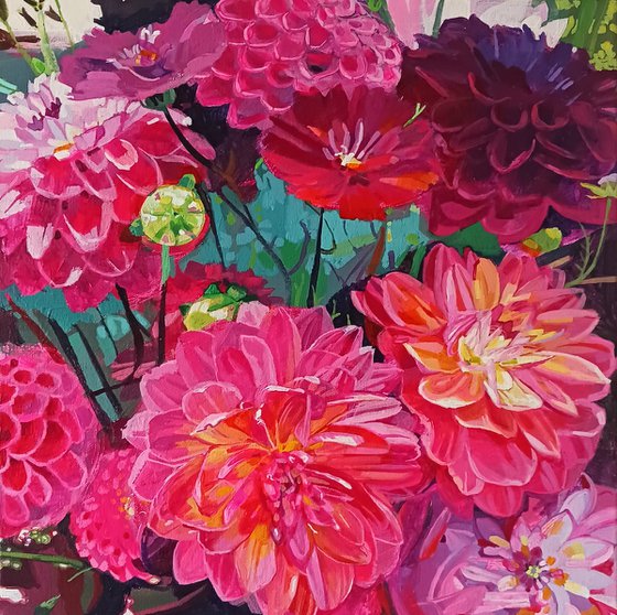 Dahlias