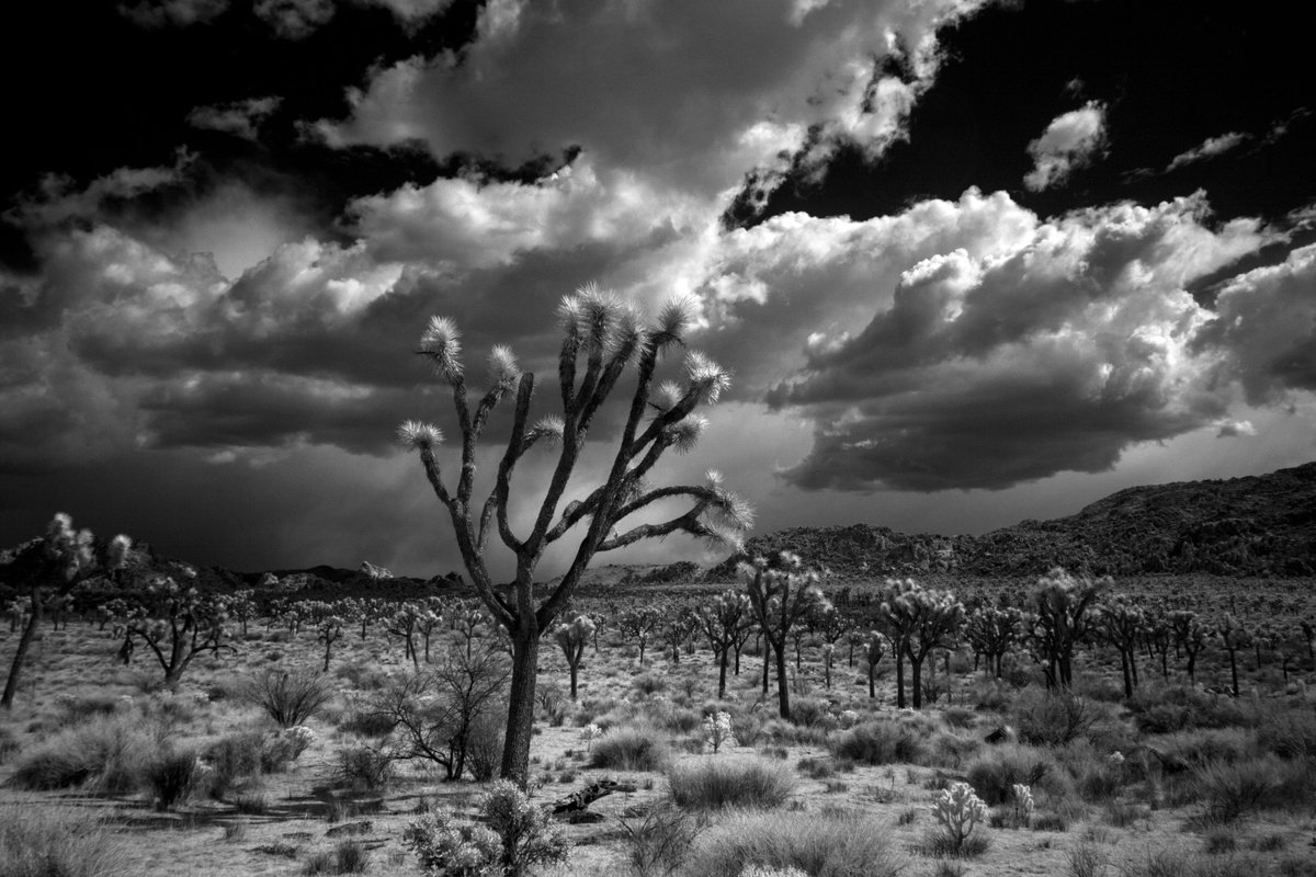 Spring Storm over Hidden Valley by Mark Hannah