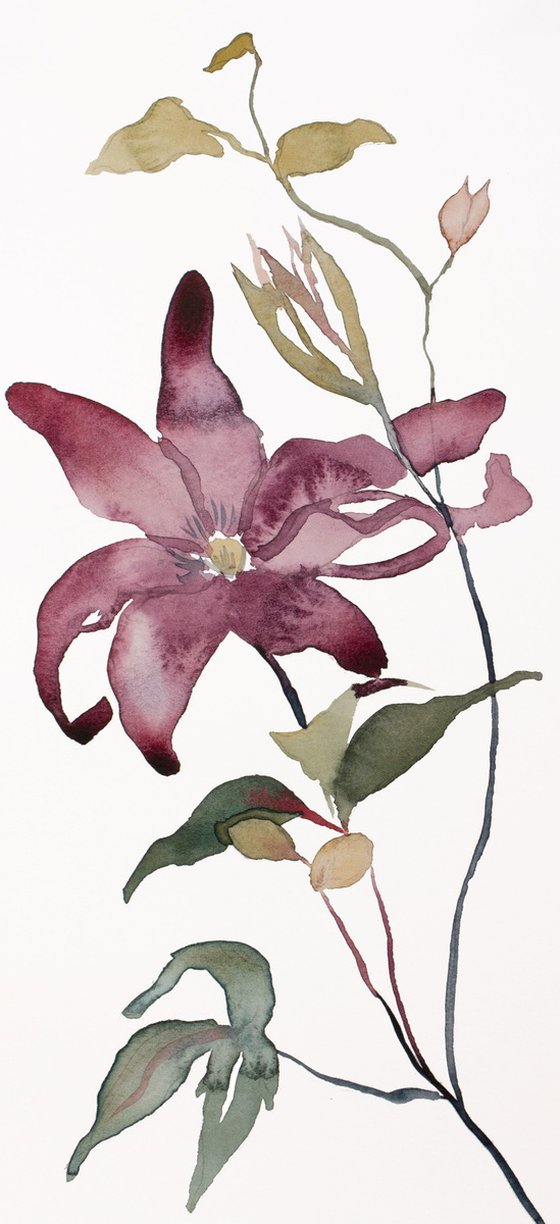 Clematis No. 2