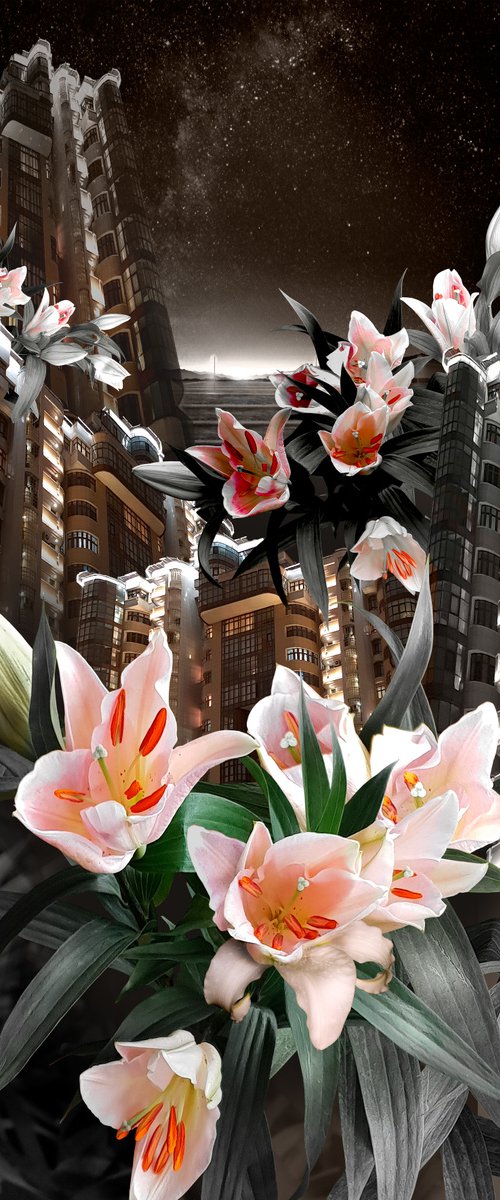 City flowers - photo collage, digital print by Elena Smurova