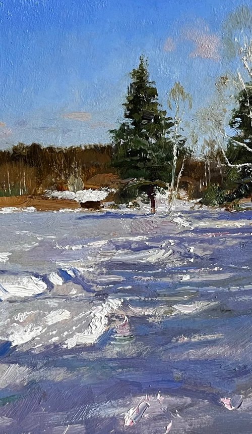 Shadows on the snow by Denys Gorodnychyi