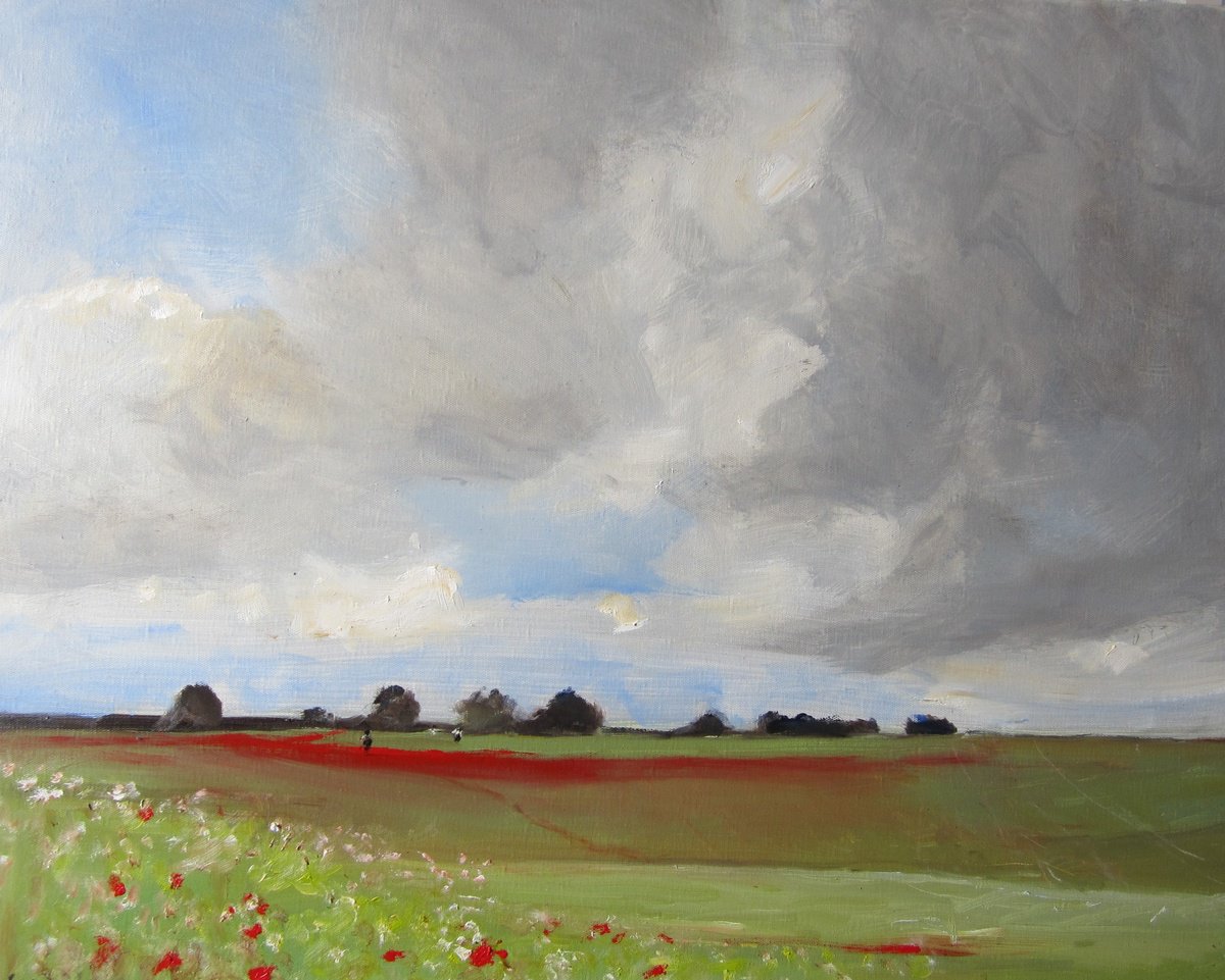 Poppy Field, by Malcolm Ludvigsen