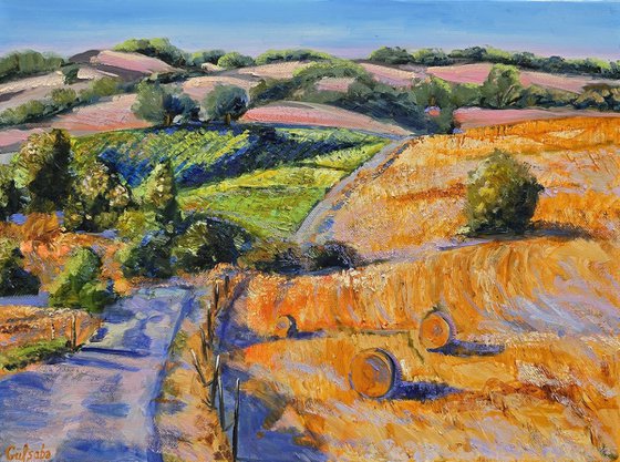Sunlit Fields