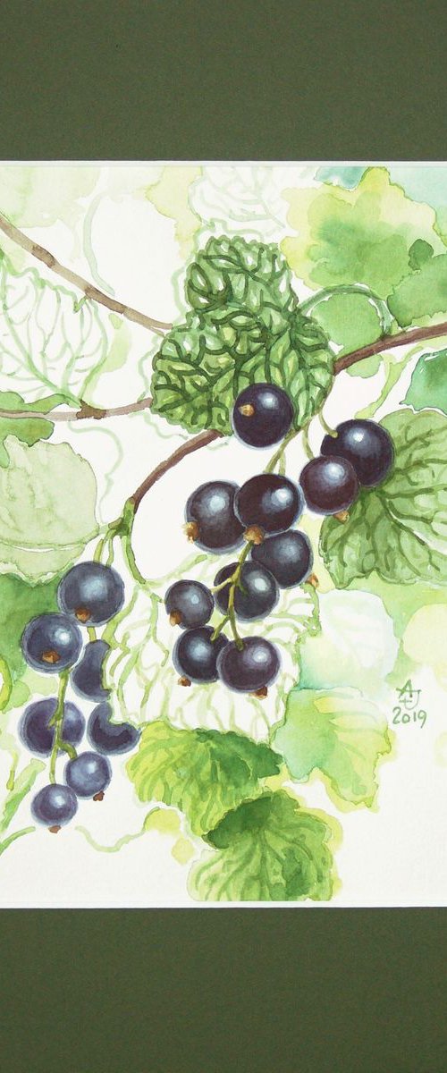 Deep in the garden - blackcurrant * free shipping * by Jolanta Czarnecka