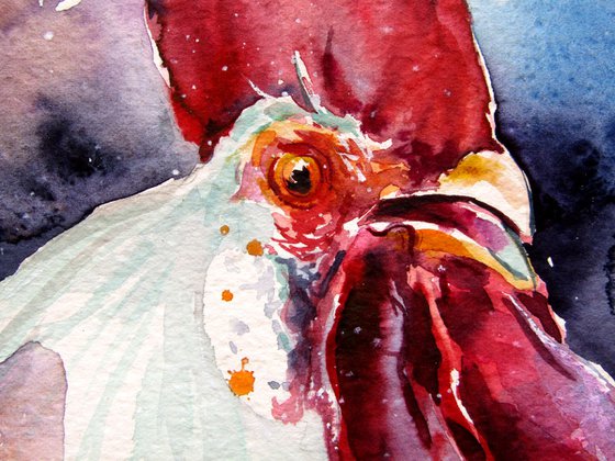 Roosters