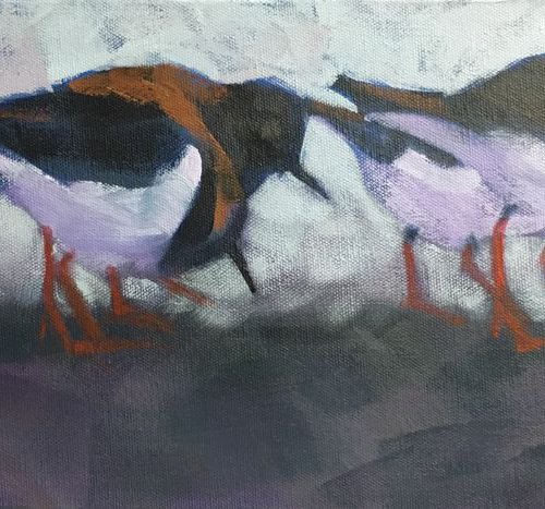 Turnstones by Susan Clare