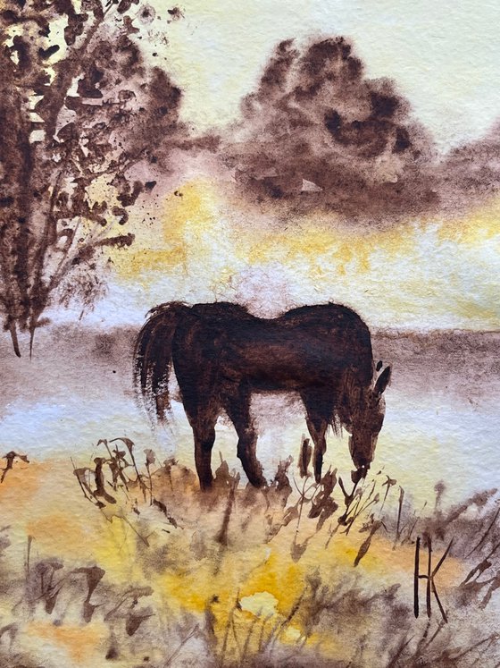 Horse in the mist