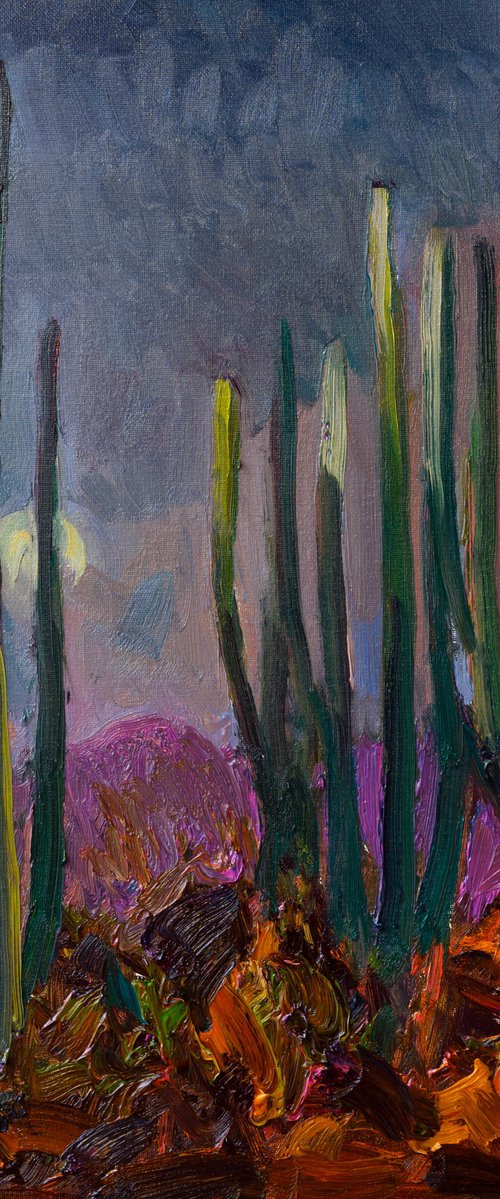 The Moon and Cactuses. Desert Night by Suren Nersisyan
