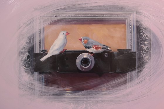 "Modern Romeo and Juliet"