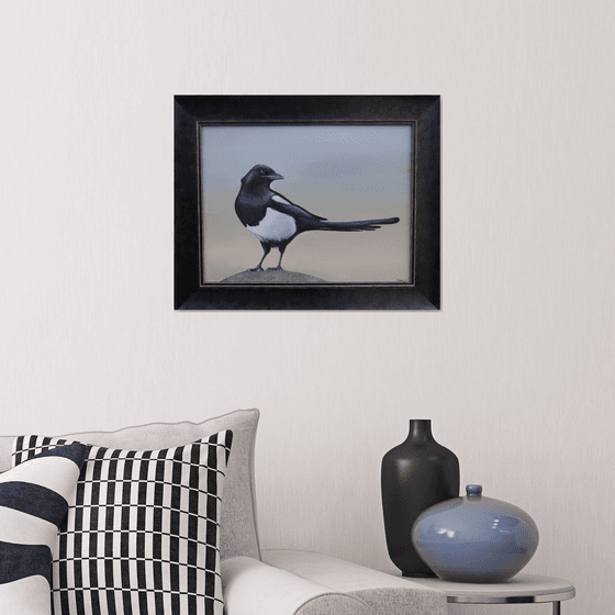 Magpie in the Early Morning Light