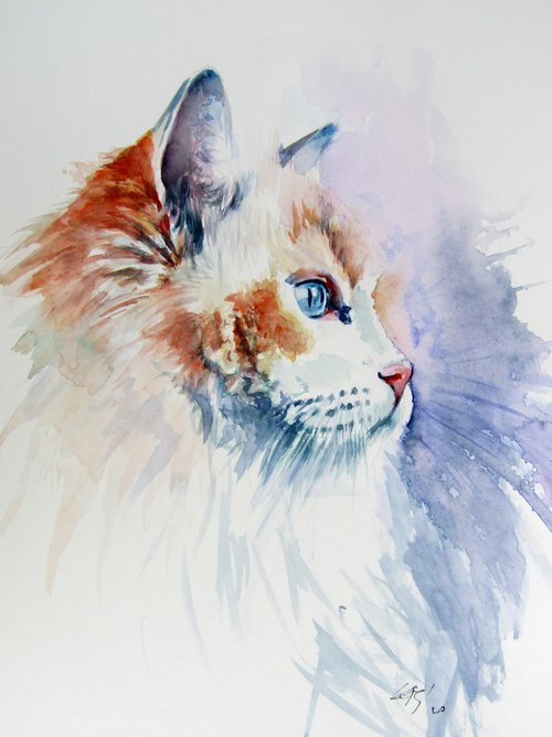 Cat portrait III by Kovács Anna Brigitta