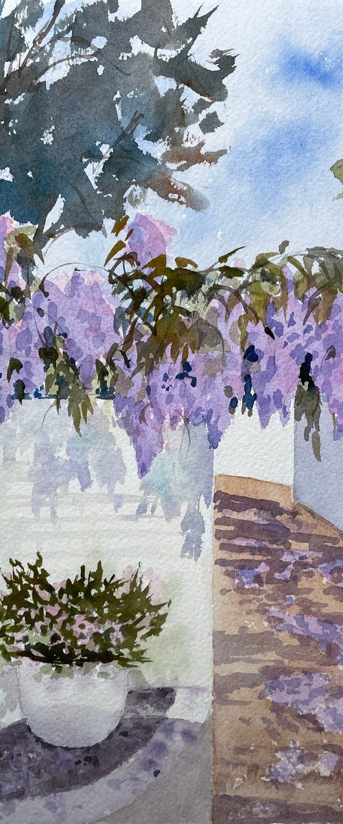 Wisteria in the garden by Shelly Du