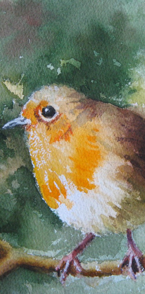 Little bird by Elena Oleniuc