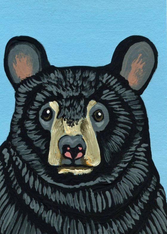 Black Bear