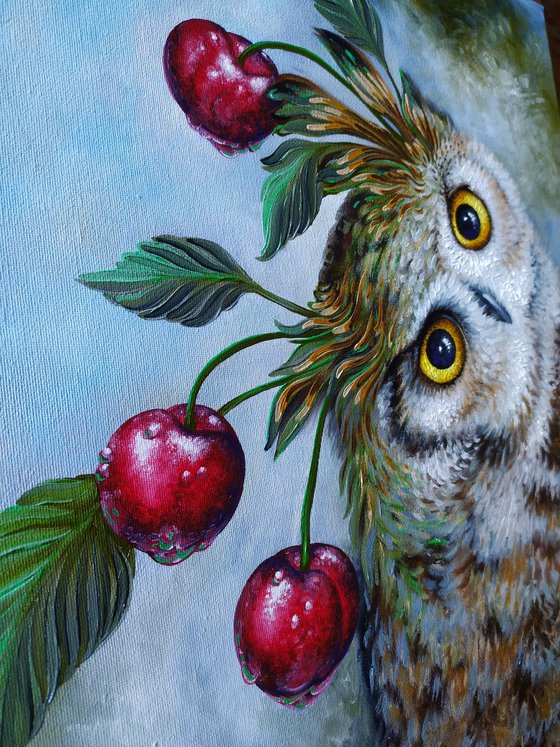 Cherry owl