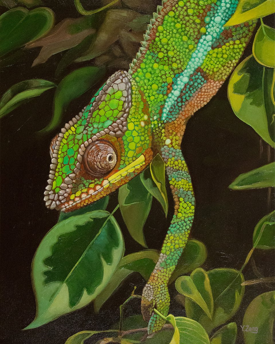 Chameleon portrait by Yue Zeng