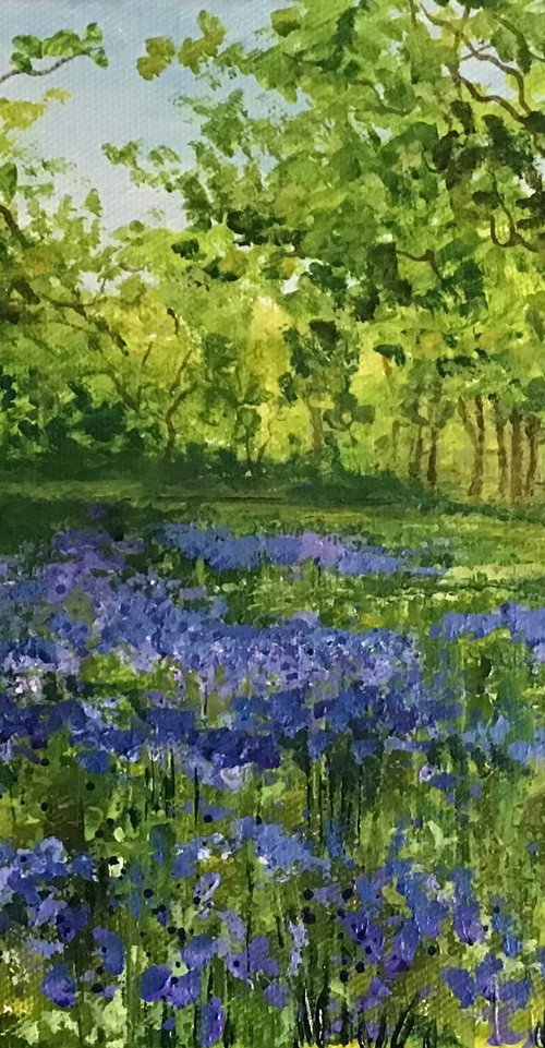 Bluebell Woods by Valerie Jobes