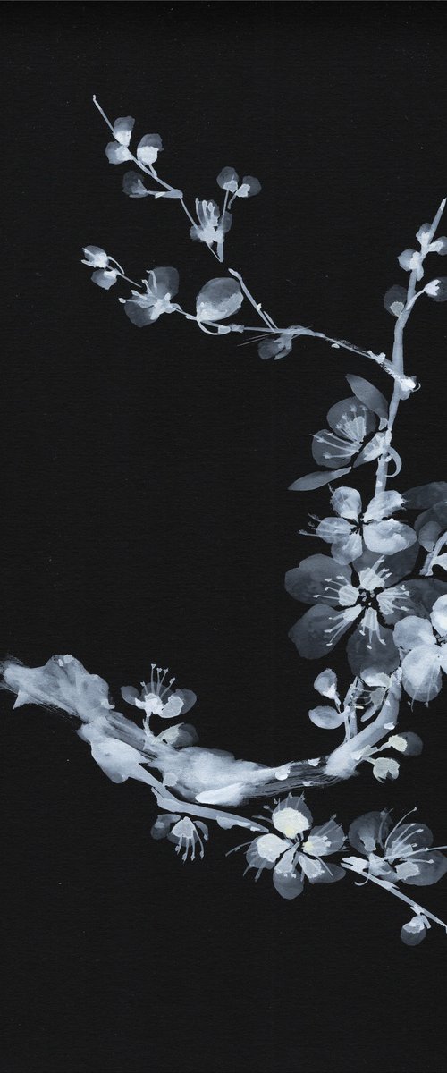 Moonlit Plum Blossoms by Hai Doan