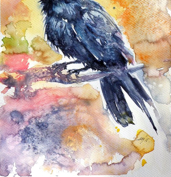 Crow in autumn IV