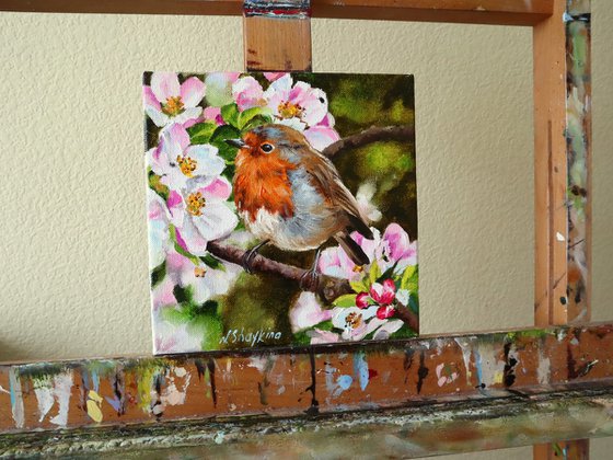 Robin with Apple Blossoms
