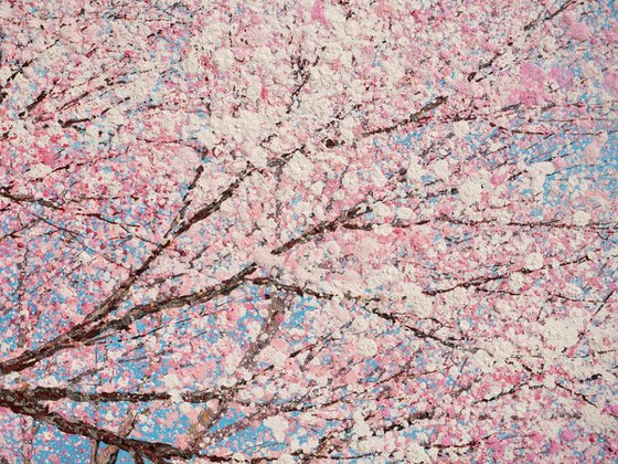 CHERRY BLOSSOM DANCES IN THE BLUE SKY