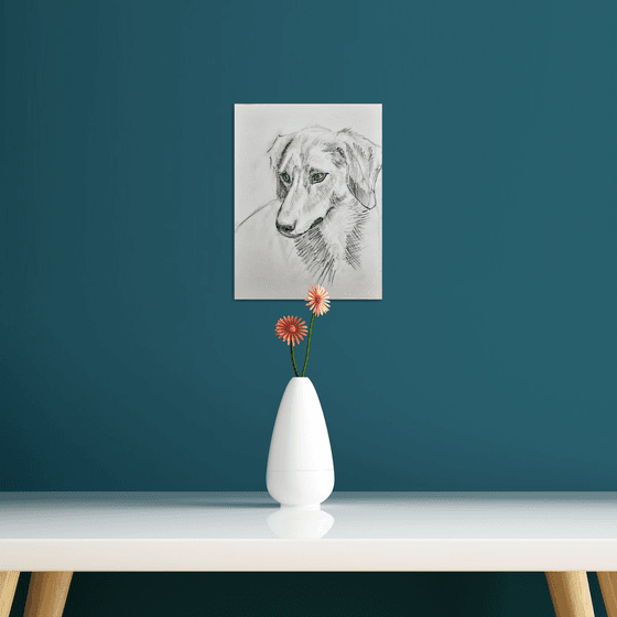 Jack Russel Terrier Portrait 2 Pet Dog sketch