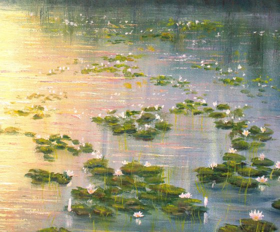 Lilies pond