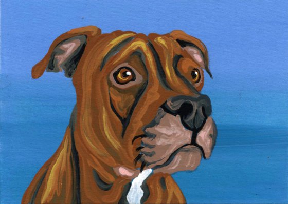 ACEO ATC Original Miniature Painting Red Pitbull Pet Dog Art-Carla Smale