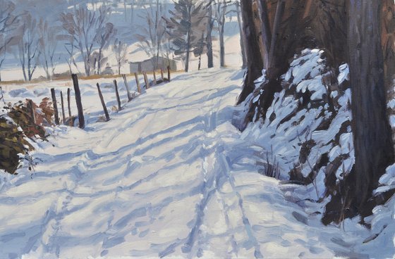 January 7, path in the snow at Saint Vincent
