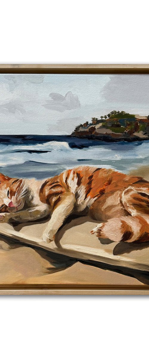 Chill On The Board by VICTO