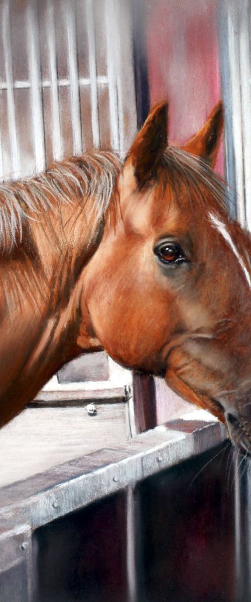 Horse in Stable by Brian Halton