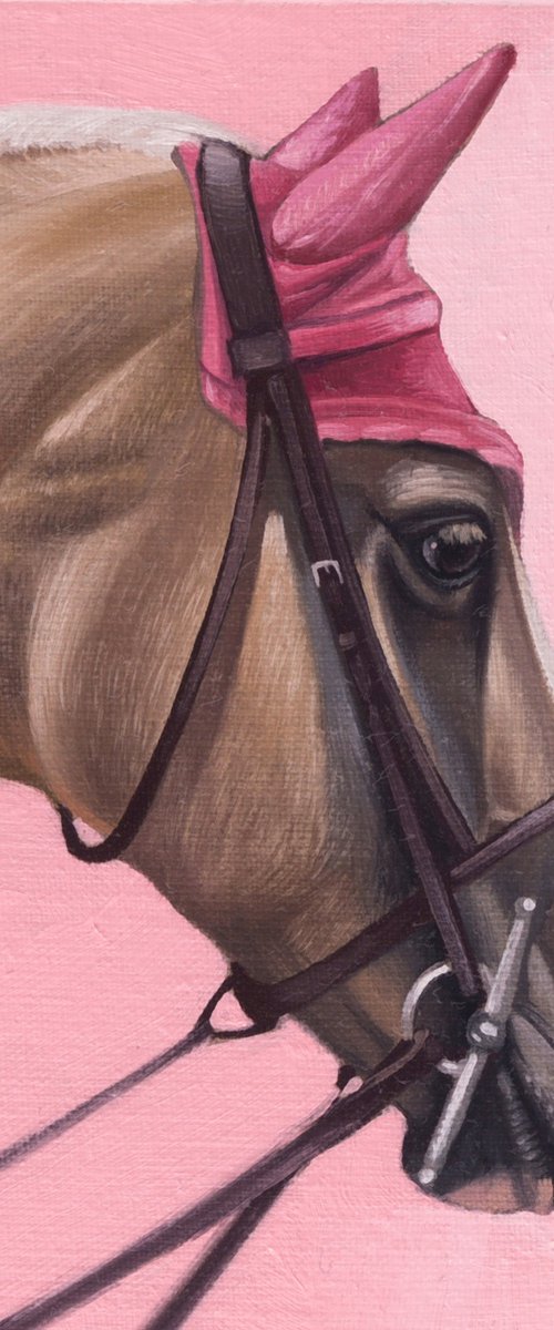 Horse Portrait 52 by Anastasia Parfilo