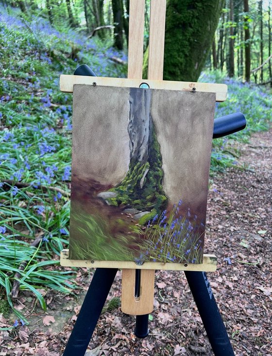 The tree and the bluebells