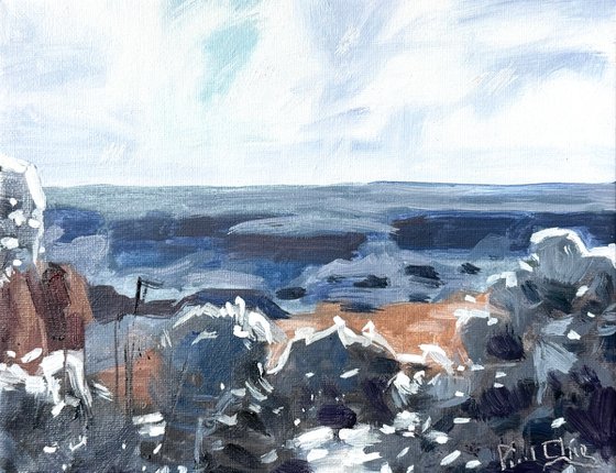 Overlooking the Canyon