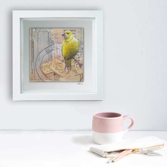 The Canary and the Custard Creams