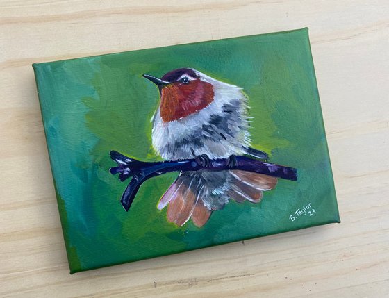 Hummingbird oil painting