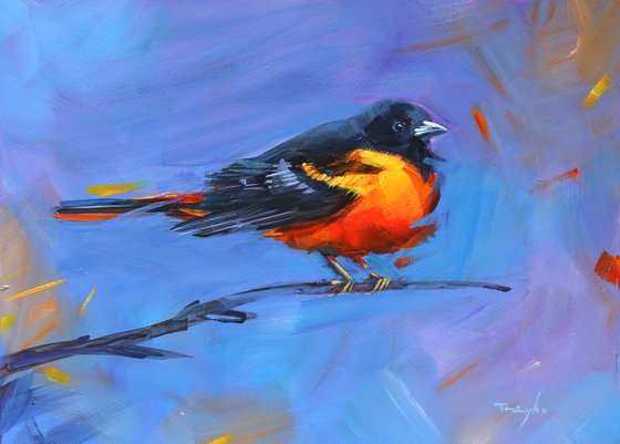 Morning | Song | Bird