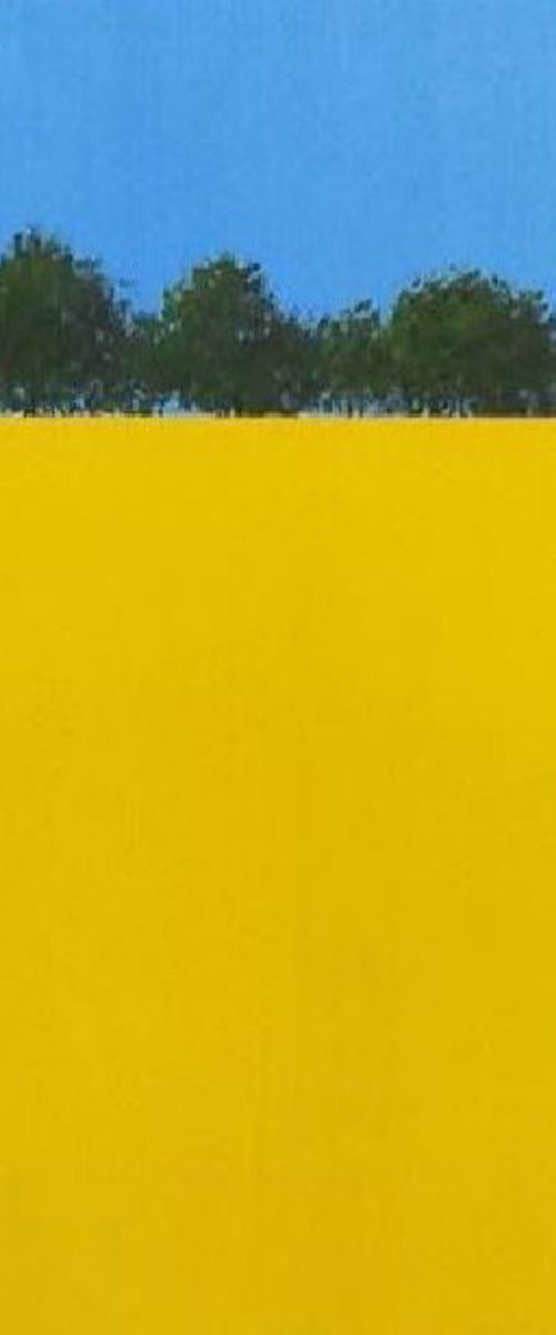 Rapeseed Fields, Hampshire 3 by Jan Rippingham