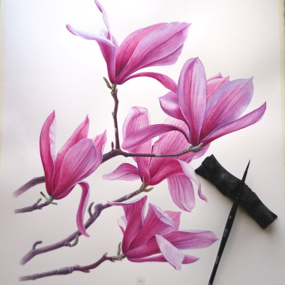 Magnolia. Right