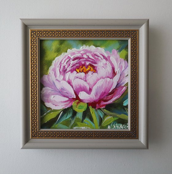 Peony Small Art Framed