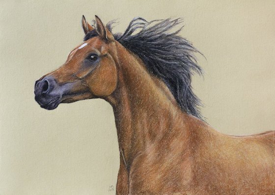 Original pastel drawing "Horse"