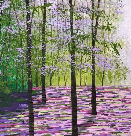 Evergreen Glade