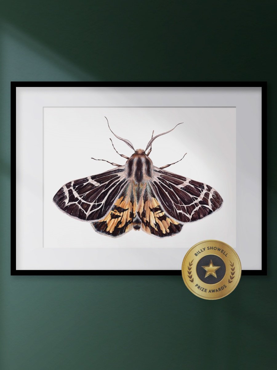 Photorealistic Animal Watercolour By Katya Shiova, 16 X 12", Little Virgin Tiger Moth, Original Artwork