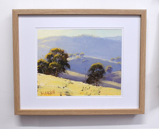 Summer Day Landscape